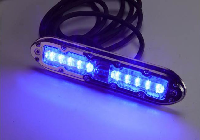 LED Lights Great White